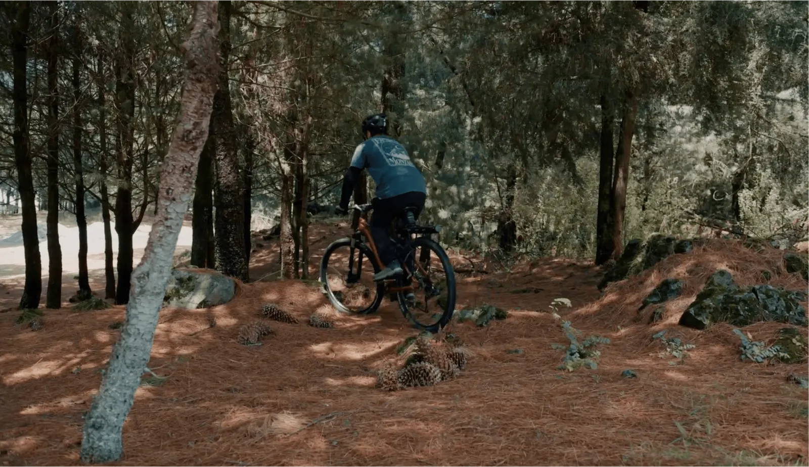 Cada parque, una experiencia distinta